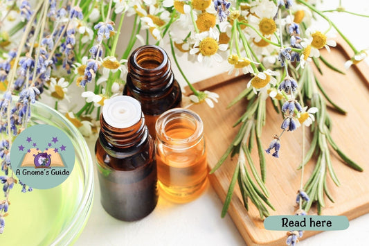 The Power of Aromatherapy